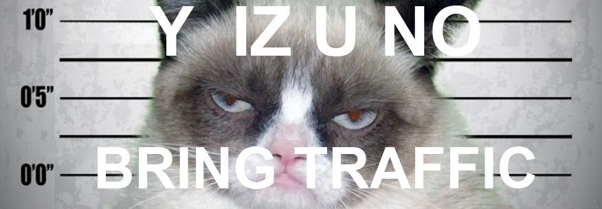 Angry Cat